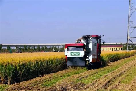 发展智能农机装备！上海推进“机器换人”！_智慧农业-农博士农先锋网