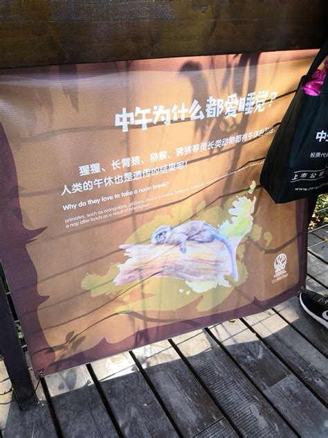 红山动物园游览图~ - 堆糖，美图壁纸兴趣社区