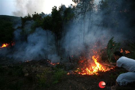 直击山西沁源森林火灾现场：“活了几十年，没见过这样的火”-半岛网
