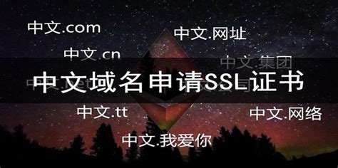 什么是中文域名？注册中文域名的好处_360新知