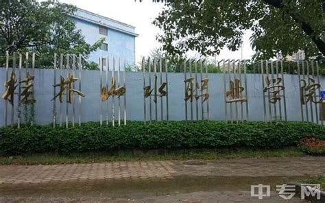 桂林市中西医结合医院药学部优化服务助力全民健康-桂林生活网健康频道