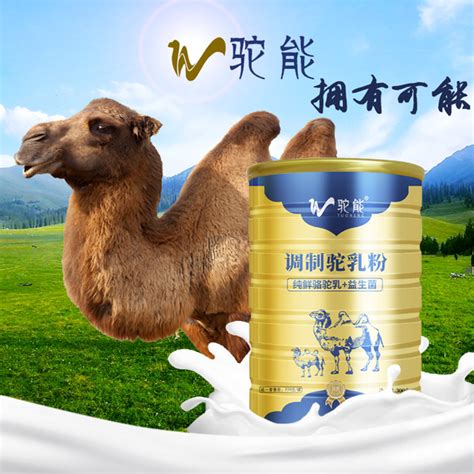 驼奶粉 - 内蒙古金河套乳业有限公司