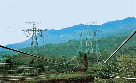 广东电网惠州龙门供电局：重构山区网架，为乡村振兴注入强劲电动力-国际电力网