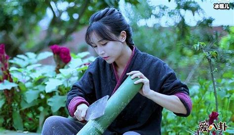 李子柒熊黛林图片