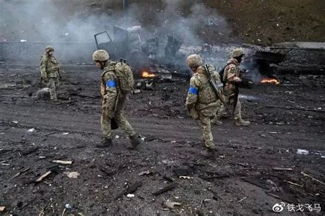 盘点西方国家对乌克兰的军事援助|乌克兰|军事援助|狙击步枪_新浪新闻