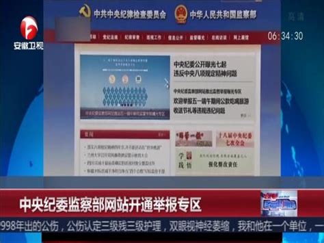 中央纪委监察部网站开通举报专区_ 视频中国