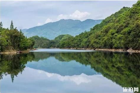 成都彭州市农村供水PPP项目正式开工，农村自来水普及率将提高至95%以上-彭州市人民政府门户网站