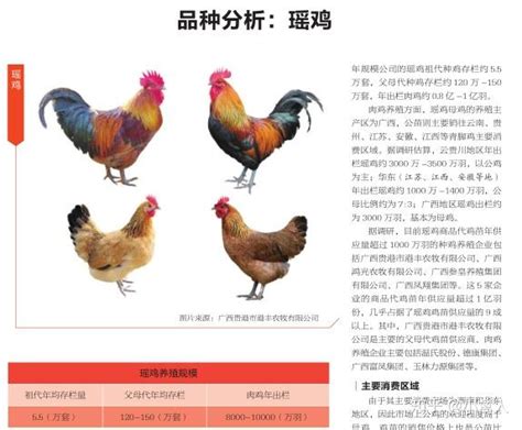 中国市场上有哪些品种的肉食用鸡，各有什么特点？ - 知乎