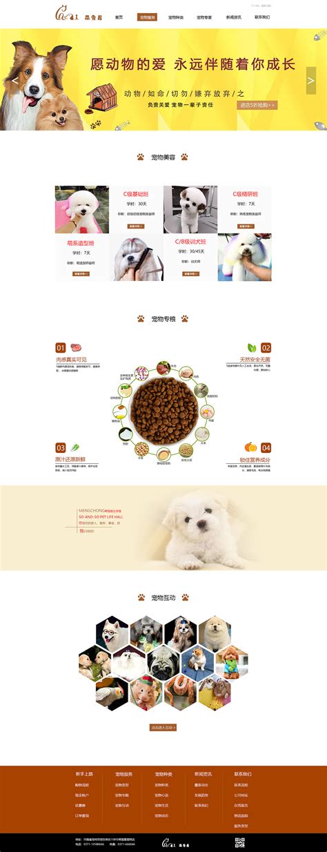 宠物店|网页|企业官网|皮皮的猪 - 原创作品 - 站酷 (ZCOOL)