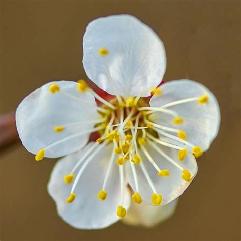 避桃花非主流头像