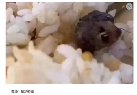 广西一学校食堂后厨5次发现有老鼠乱窜，被罚款3000_凤凰网视频_凤凰网