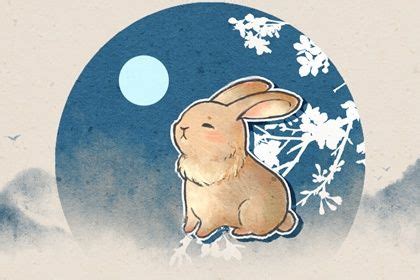 兔和龙相害用什么化解 有什么化解的办法-十二星座网