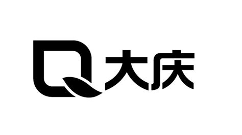大庆高新-logo标识企业VIS_Caroso_Yan-站酷ZCOOL
