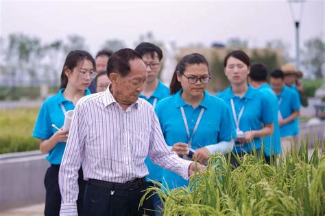 迪拜酋长看上袁隆平这项研究 要在沙漠建绿洲|海水稻|袁隆平|水稻_新浪新闻
