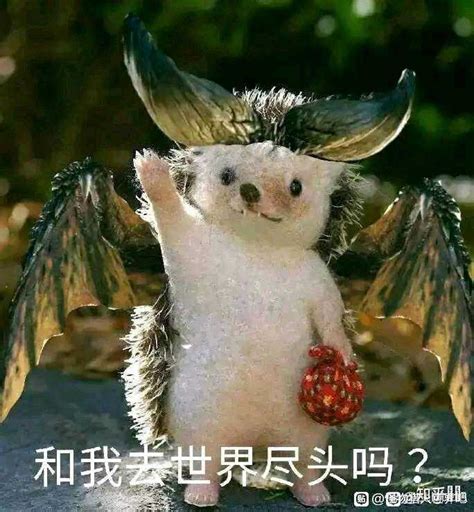 怪物猎人世界表情包图片