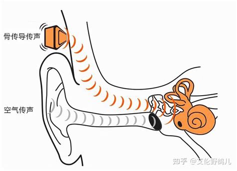 入耳式耳机危害耳朵，千万不要这样戴！正确使用耳机方法是这样！__财经头条