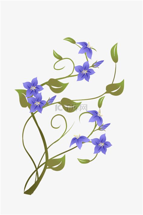 漂亮的花朵花藤插画素材图片免费下载-千库网