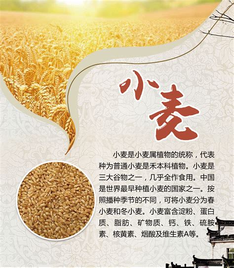 中国农业科学技术出版社2种图书入选2022年全国优秀科普作品