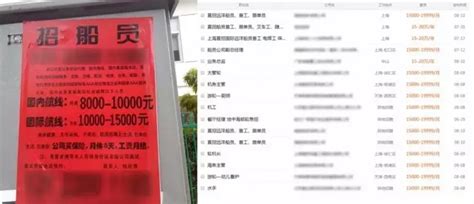 福建磊鑫（集团）有限公司 2022校园招聘简章