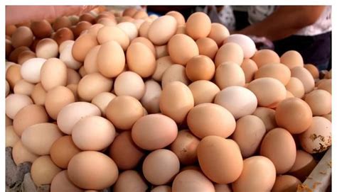明天鸡蛋价格早知道,2021年8月27日鸡蛋价格行情参考__财经头条