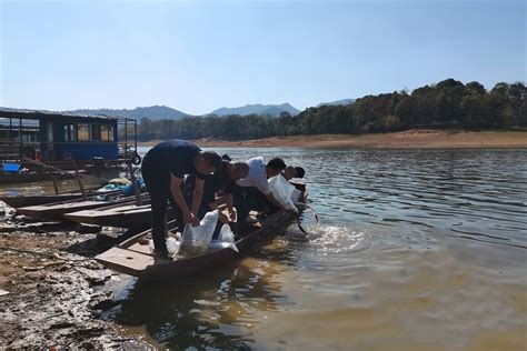 湘乡执行首例生态环境损害赔偿增殖放流案件_湖南民生网