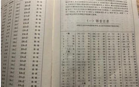遇到不认识的汉字怎么办,在线新华字典使用方法图文教程_北海亭-最简单实用的电脑知识、IT技术学习个人站