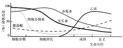 中国科学院的植物生理学家研究了几种果实发育及衰老等过程中的激素变化.并绘制出了下图.对此图的相关描述中不合理的是 A．在果实的细胞分裂期.生长 ...