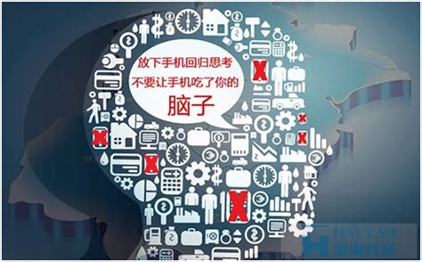 《中国互联网发展报告2019》（全文）_我国