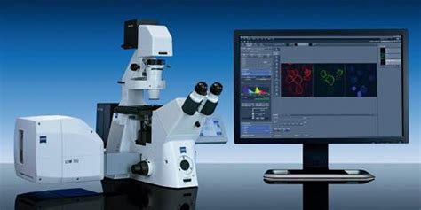 激光共聚焦显微镜通过调试正式启用----兰州资源环境科学大型仪器区域中心
