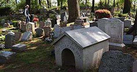 美国最古老的宠物公墓里安葬着无数人的思念。|宠物公墓|米勒|公墓_新浪新闻