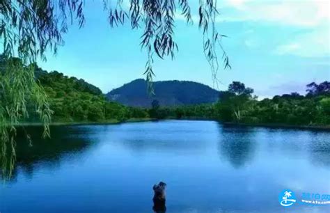 深圳平湖景点推荐 深圳平湖有哪些好玩的地方 - 旅游资讯 - 旅游攻略