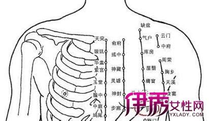 【背后的胸部穴位图】【图】揭秘背后的胸部穴位图 人体胸背部的穴位你知道的有多少？(2)_伊秀健康|yxlady.com