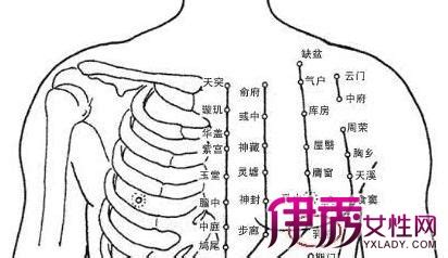 胸部穴位图图片