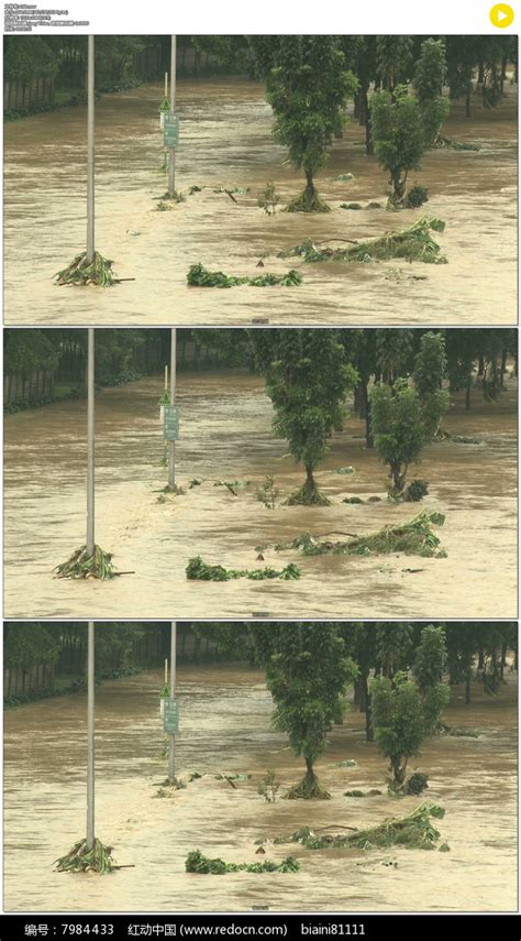 应急管理部：7月来洪涝灾害造成24省区市2027万人受灾，23人死亡失踪