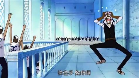 海贼王费兰克图片