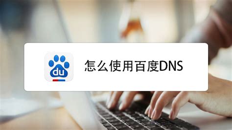 Win10修改DNS设置步骤(附高速DNS地址) -飞飞系统