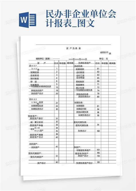 民办非企业单位会计报表_图文Word模板下载_编号loemdaxb_熊猫办公