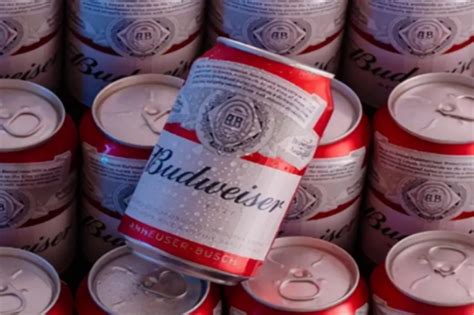 世界十大啤酒品牌排名：第一是世界上最大的啤酒制造商，麒麟啤酒 上榜 - 十大排行 - 酷奇猫