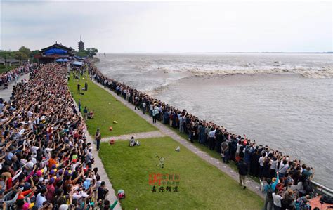 浙江日报关注！海宁这条网红追潮廊道，等你来打卡