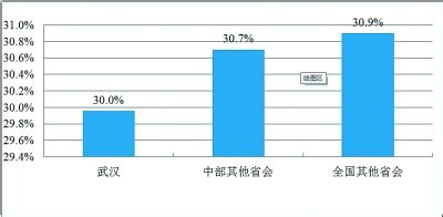 武汉负债家庭平均借钱16.04万 六成人因房贷负债_湖北频道_凤凰网