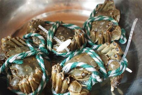 新鲜螃蟹的储存方法，螃蟹保湿是生存的一大因素 - 鲜淘网