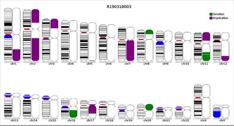 DNA 7. 基因组拷贝数变异分析及可视化 (GISTIC2.0) - 知乎