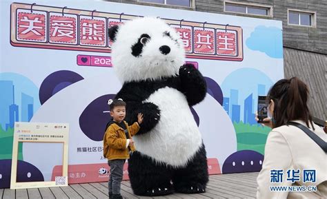 旅居国外的大熊猫卖萌拜年_新闻中心_中国网