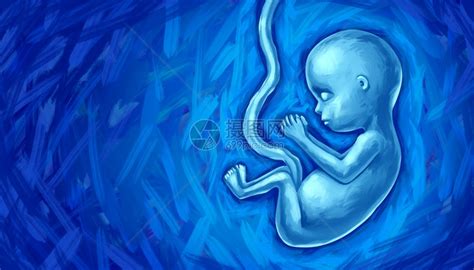 母体可行瓜拉纳皮胎儿发育和未出生婴儿概念作为人类胎儿或产前生长期童以子宫系为产科医学象征用3D插图方式表示怀孕保健和产前a胎儿发图片素材-正版创意图片307845039-摄图网