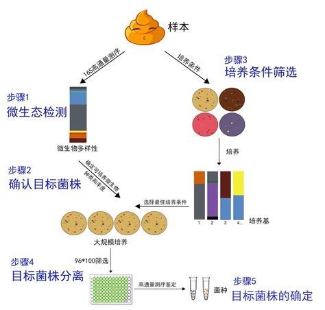 特定菌种分离培养了解一下-上海远慕生物科技有限公司