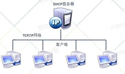部署DNS服务器之主要区域-阿里云开发者社区