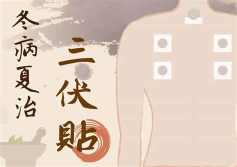 三伏贴位置示意图图片 三伏贴位置示意图图片