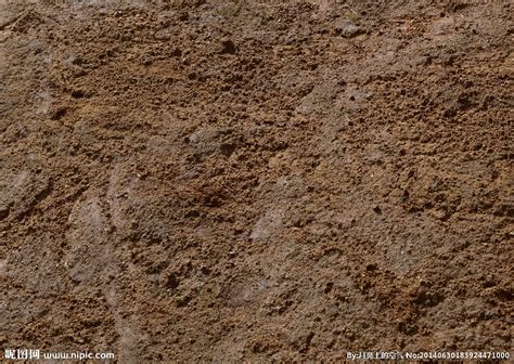 地球上的泥土，是如何出现的？其实都是“吃土”微生物做的贡献