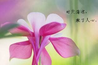 看透人心的图片
