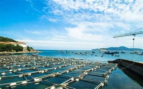 共谋渔业发展新篇章，第二届中国水产种业博览会在广州南沙举行 - 21经济网
